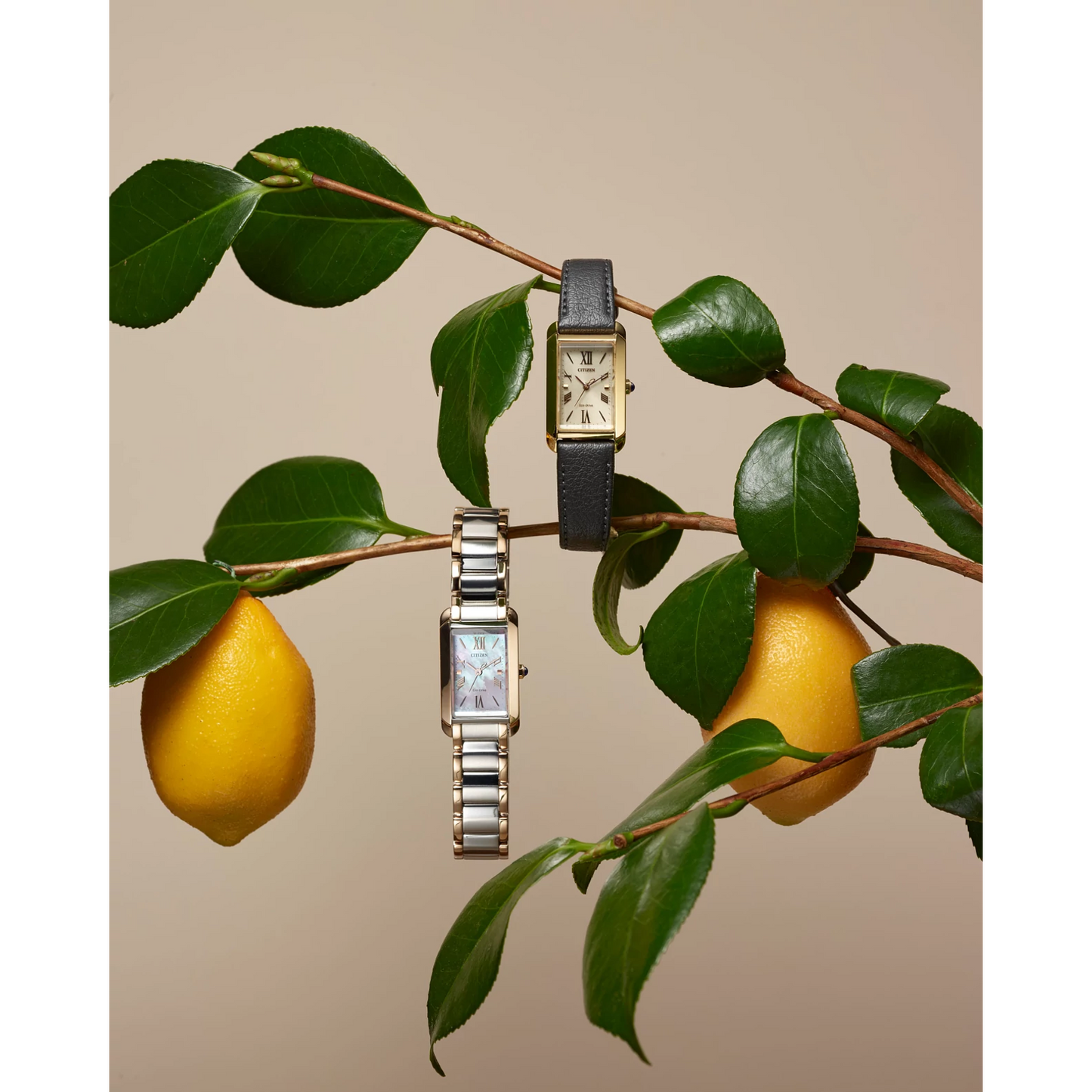 Citizen L Bianca EW5624-54Y