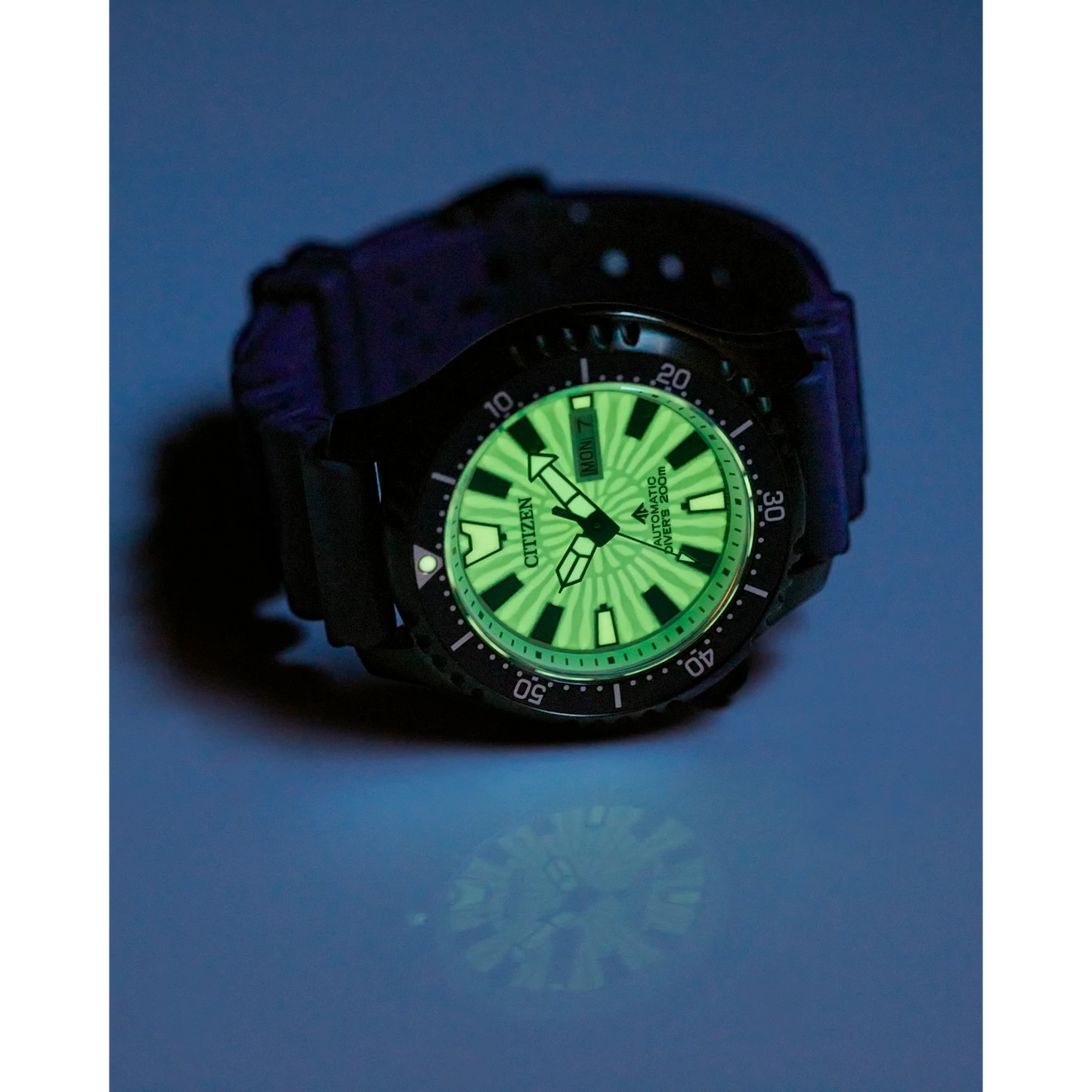 Citizen Promaster Dive Automatic NY0137-09A