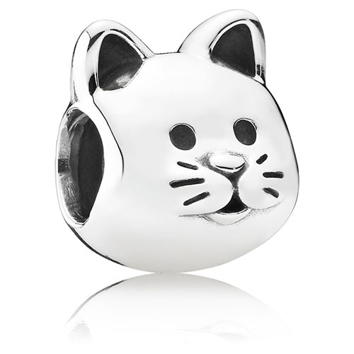 Curious Cat Charm 791706