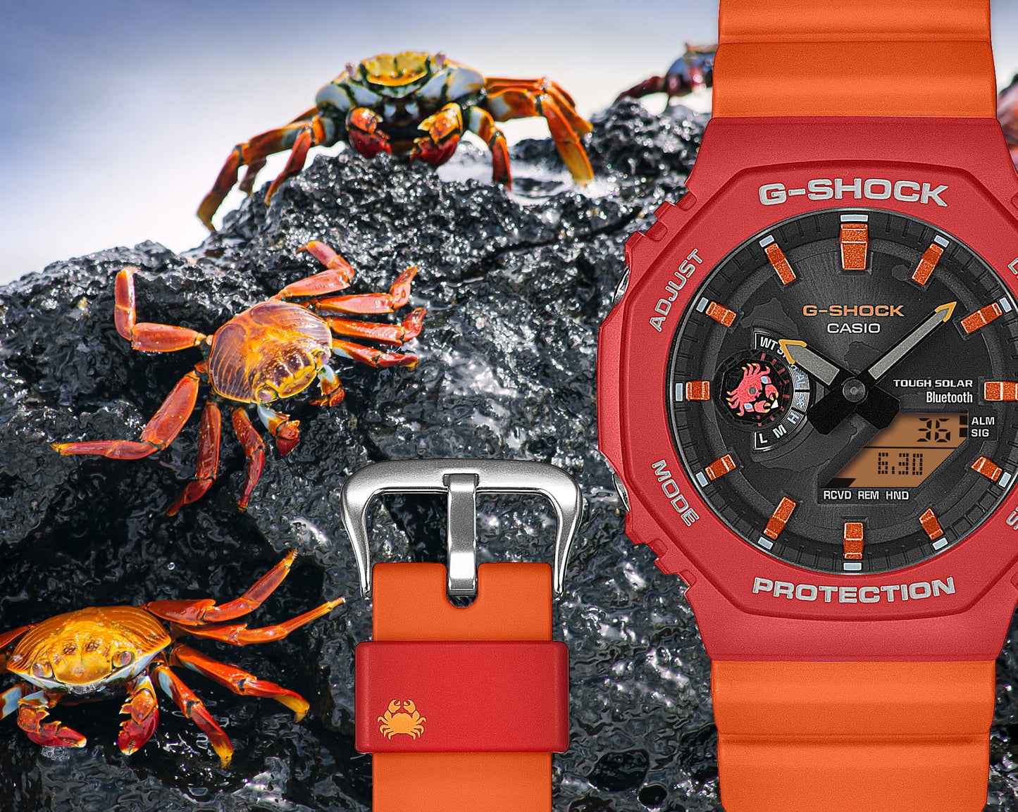 Casio G-SHOCK GAB2100DF-4A Charles Darwin Foundation collaboration model GA-B2100DF-4A