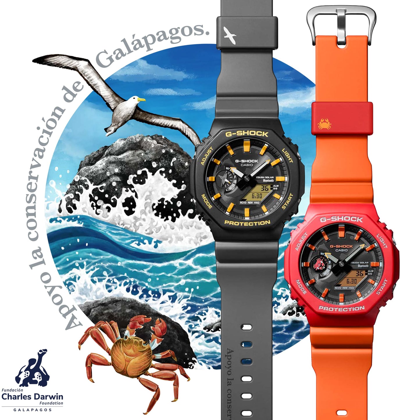 Casio G-SHOCK GAB2100DF-4A Charles Darwin Foundation collaboration model GA-B2100DF-4A